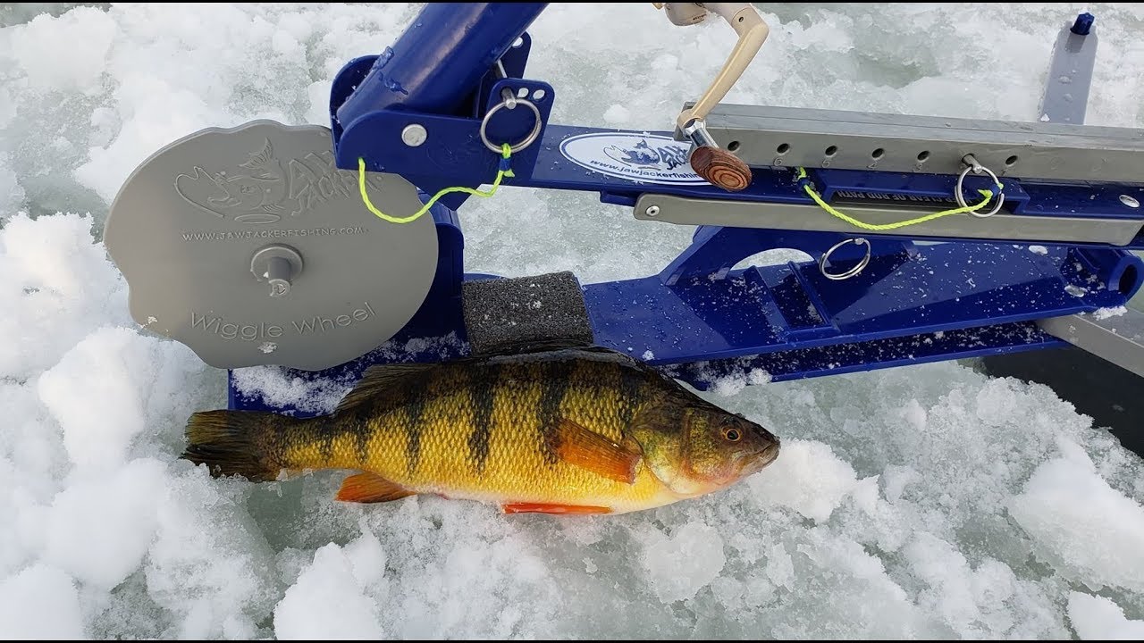 Jigging Jaw Jacker Jumbo Perch Fisher.City