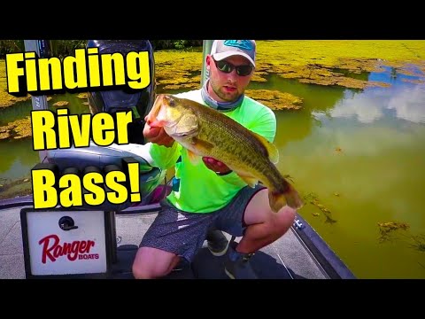 Mississippi River Summer Bass Fishing Tips! |Things You NEED To Know ...