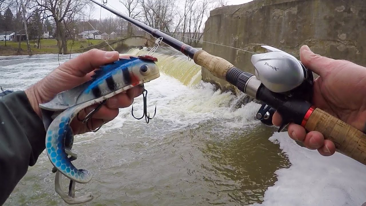 MUSKY FISHING FROM SHORE!! - Late Winter River Muskies - Fisher.City